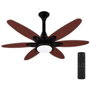 Xuga Velor F11P 32W 320rpm Copper Motor Oakwood Premium BLDC 6 Blade Ceiling Fan with Remote Control & 5 Years Warranty, Sweep: 1200 mm