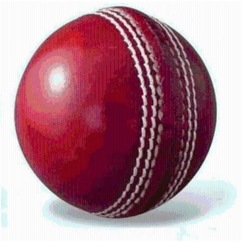HTM Cricket Ball for training, Hobby Play & casual matches Cricket Leather Ball