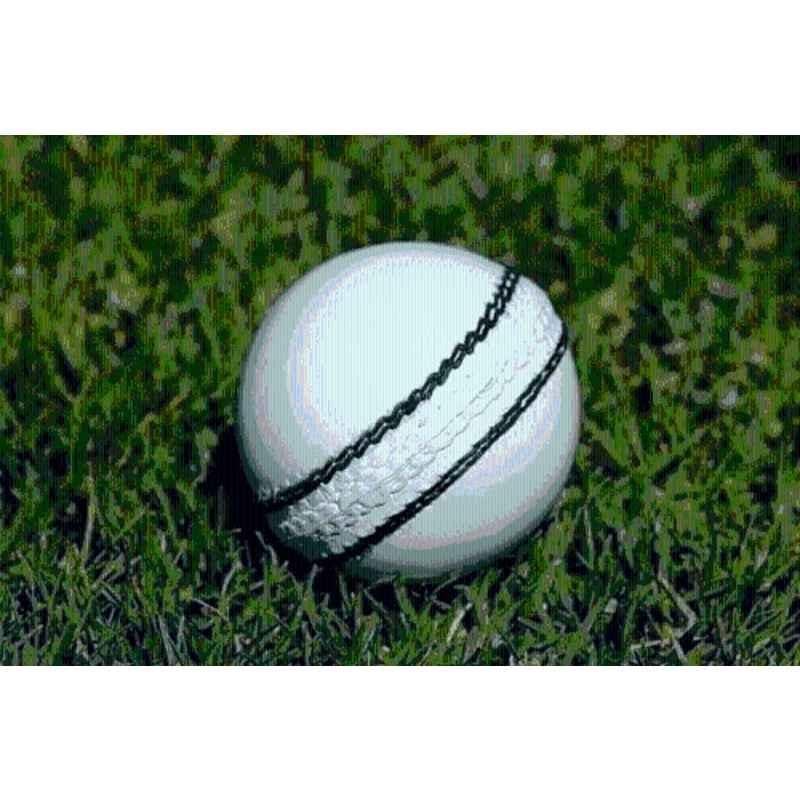 Krasava Ball-045 Standard White Premium Cricket Leather Ball
