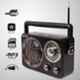 iBELL FM730BT 3 Band Black Portable Bluetooth FM Radio