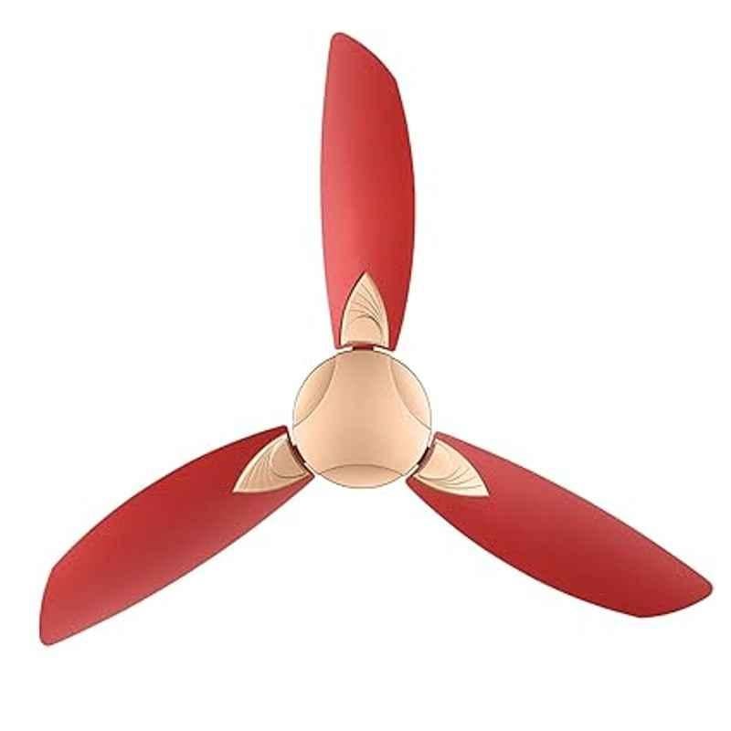 Usha Bloom Primrose 78W Golden & Cherry 3 Blades Ceiling Fan, Sweep: 1250 mm