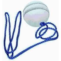 Sports trading Cricket Hanging Ball for Practice & Bat Knocking with Rope Cricket Training Ball (Standard White)