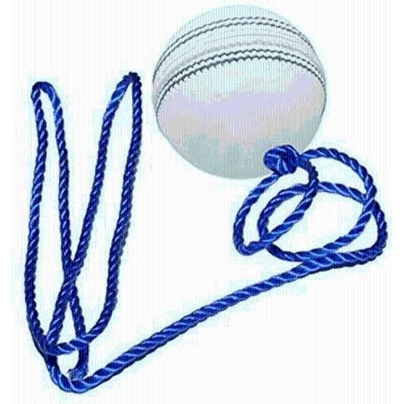 Sports trading Cricket Hanging Ball for Practice & Bat Knocking with Rope Cricket Training Ball (Standard White)