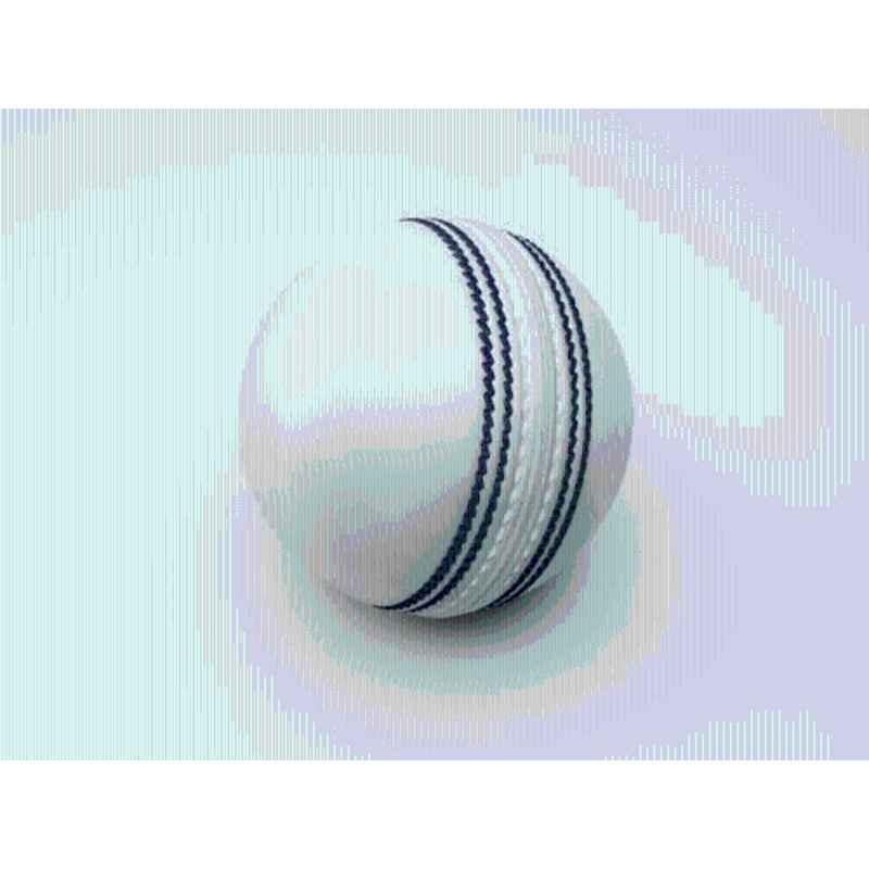 AAT Standard White Club Cricket Leather Ball