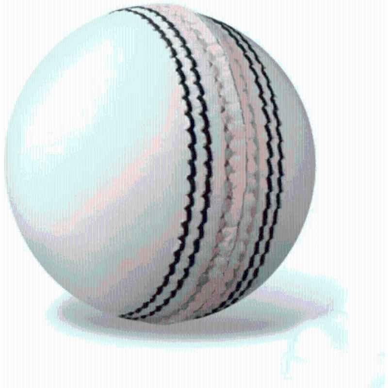 Rmaini Sports White Leather Cricket Ball