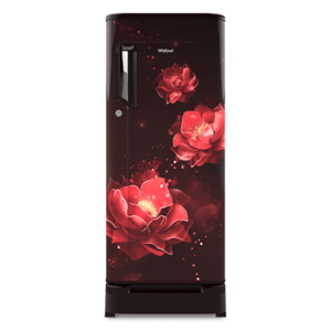 Whirpool Icemagic Powercool 200L Wine Abyss Single Door Refrigerator with Pedestal