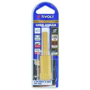 Tivoly Technic 10 mm Gold Blister Cutting Discs Diamond Dry Drill Bit, 12000921000