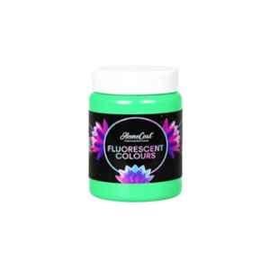 WinnerOne HomeCoat 500ml Light Green Fluorescent Colour, FC210 (Pack of 2)