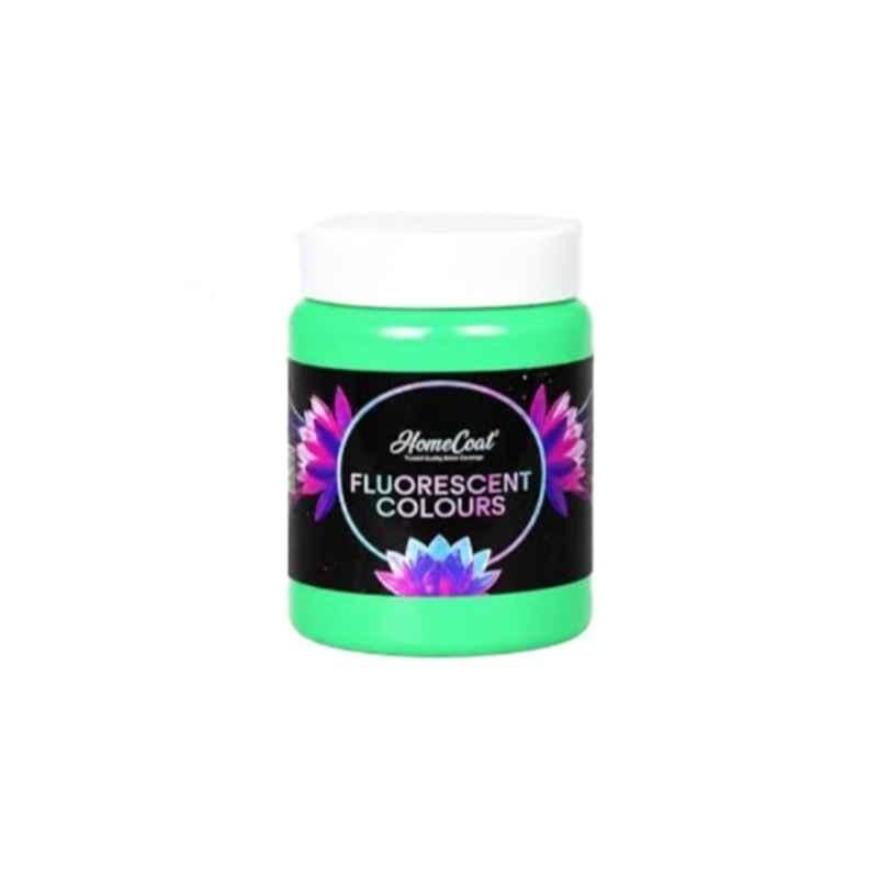 WinnerOne HomeCoat 500ml Light Green Fluorescent Colour, FC210 (Pack of 2)