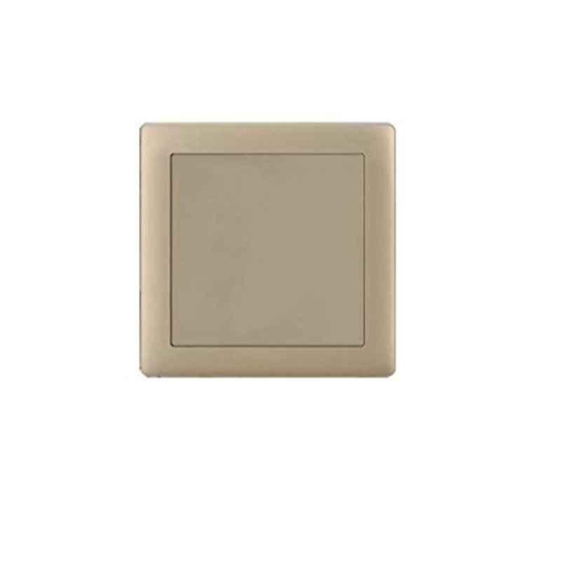 Vmax 3x3 inch Golden Matt Switch Socket Blank Plate