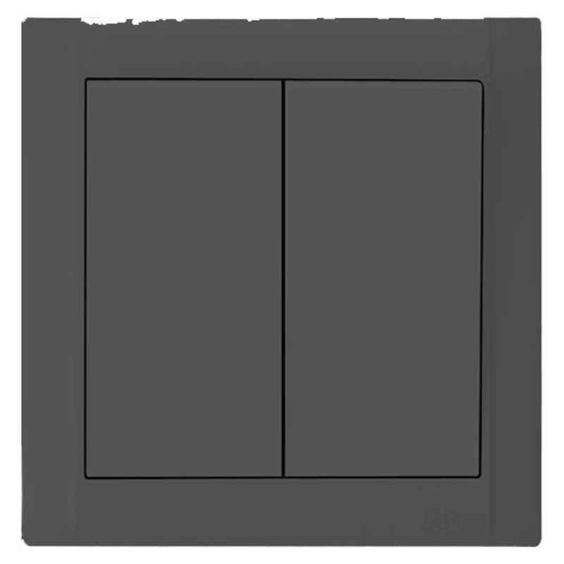 RR Vivan 10A Black 2-Gang 2-Way Wide Rocker Switch, VN6616-BK