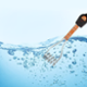 Usha IR 2415 1500W Immersion Water Heater Rod