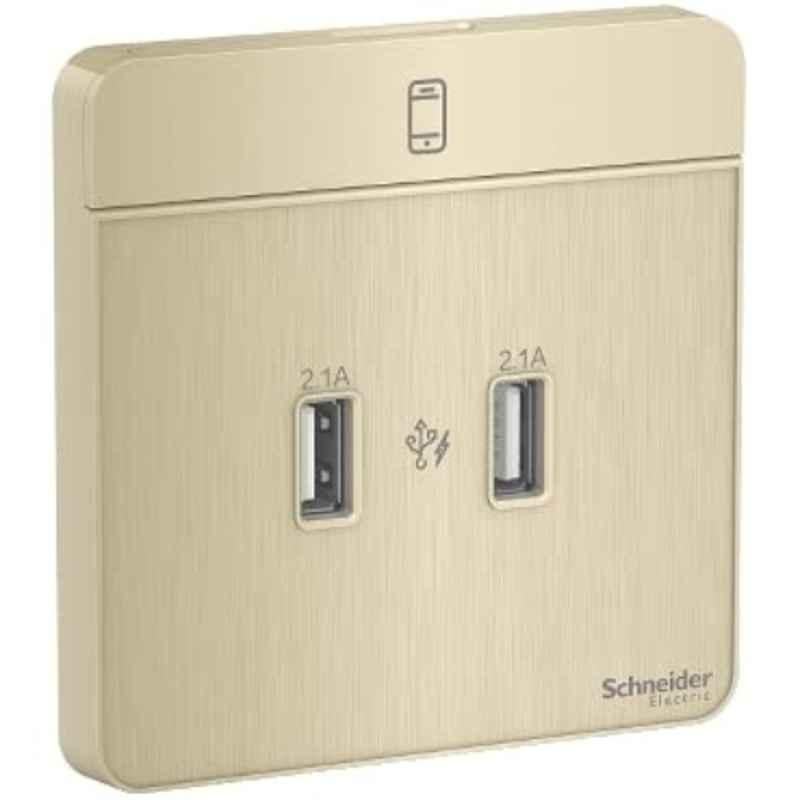 Schneider AvatarOn 2.1A 240V Metal Gold Hairline 2 USB Charger, E8332USB-GH