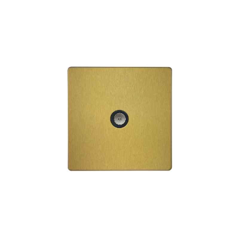 RR Vivan Metallic Brushed Gold 1-Gang Outlet Co-Axial Socket with Black Insert, VN6640M-B-BG