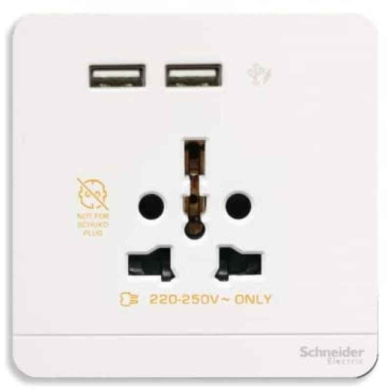 Schneider AvatarOn 16A 2 Pole Polycarbonate White USB Charger with Socket Outlet, E8342616USB-WE