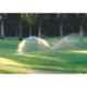 Crompton Mini Crest II 0.5HP Self Priming Water Pump, Total Head: 70 ft