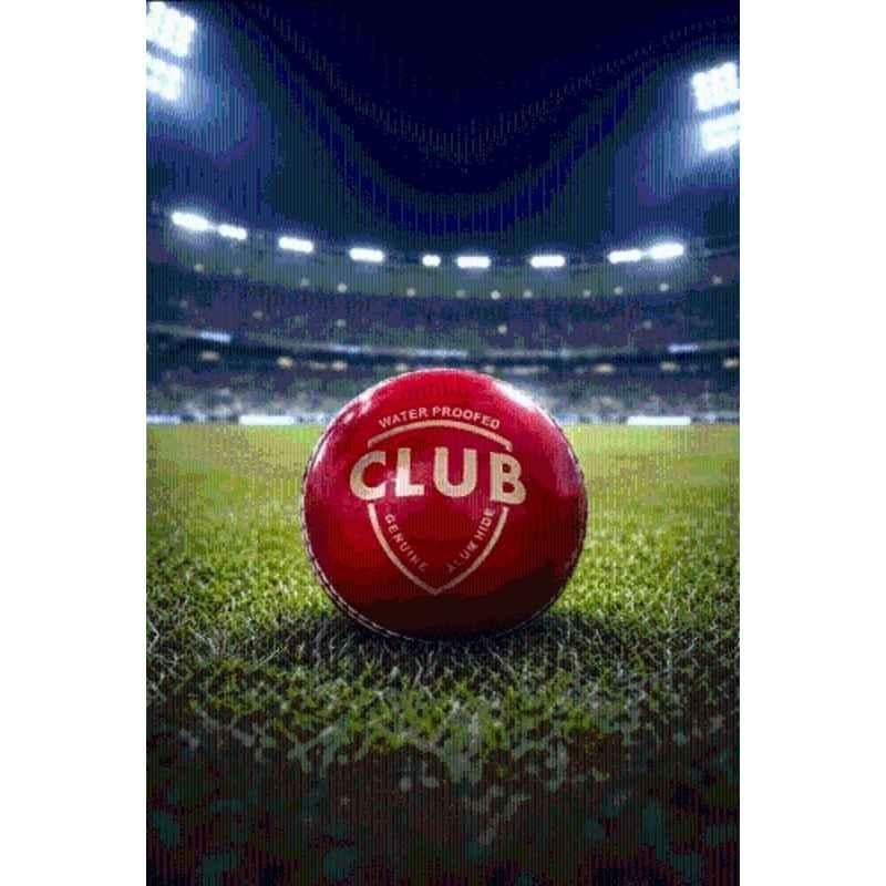 Dream Standard Red 2 Part Club Cricket Ball Cricket Leather Ball