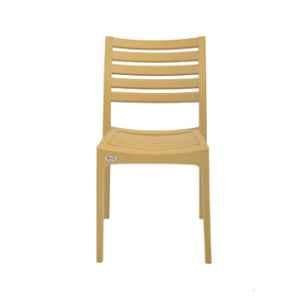 Supreme Omega Plastic Cane Chair without Arm (Pack of 2)