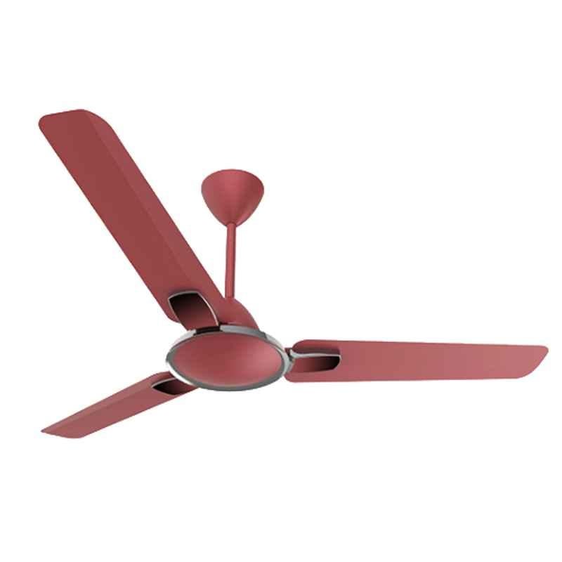 Crompton Markle Prime 55W Red Velvet Ceiling Fan, Sweep: 1200 mm