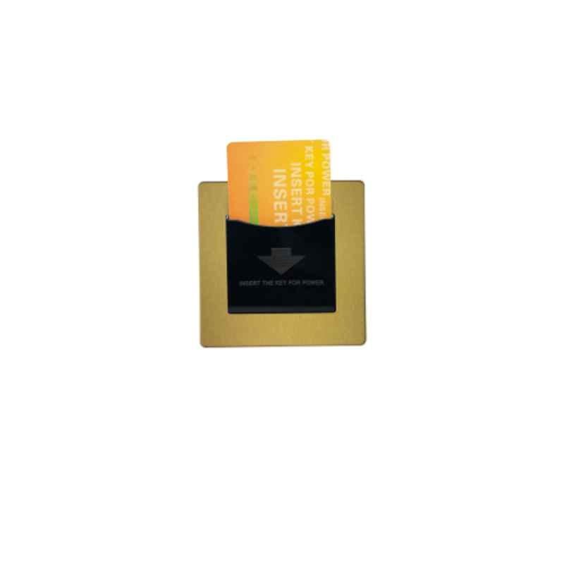 RR Vivan Metallic Brushed Gold Low Frequency Key Tag Switch with Black Insert, VN6695LM-B-BG