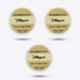 Hillgrove HGACC13M1 25W 3 Pcs 10g Rosin Core Soldering Flux Paste