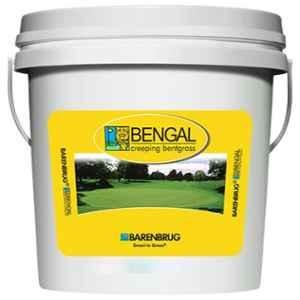 Agricare Barenbrug Bengal 10lb Creeping Bentgrass Bucket