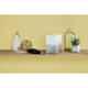 WD My Cloud Home Duo 4TB White Personal Cloud Network Attached Storage, WDBMUT0040JWT-BESN