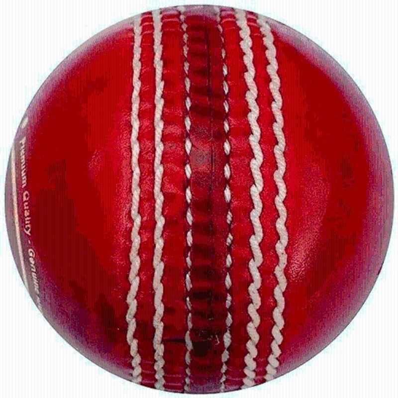 RB Sports Red Cricket Leather Ball