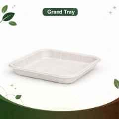 Eco Aaroyaa Bagasse Disposable Grand Tray