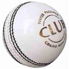 AAT Standard White Club Cricket Leather Ball Cricket Leather Ball