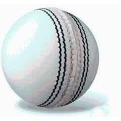 PRO Sports Standard Cricket Leather Ball (Pack of 2)