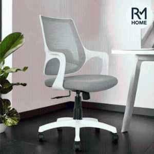 RM HOME Spinx Mesh Medium Back Grey Executive Chair