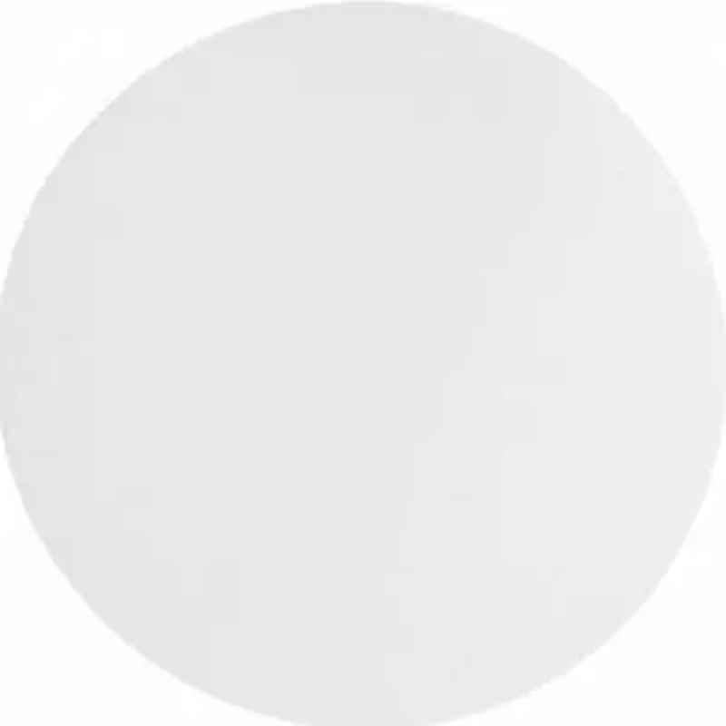 Whatman 270mm Skin Filter Paper, 10347521