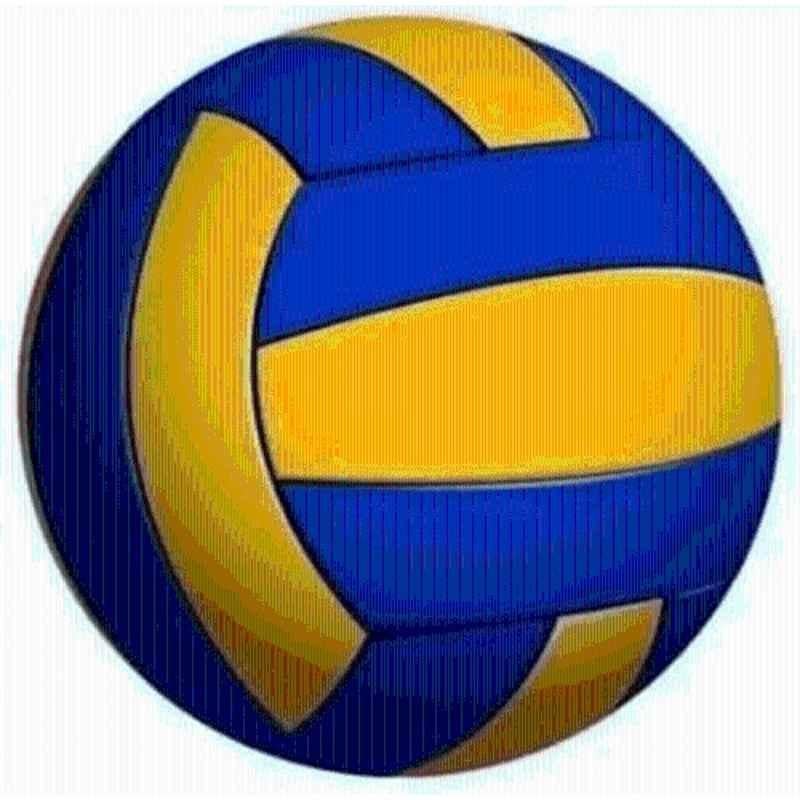 House of Common Standard Volleyball with Pump & Pin (Pack of 2), Size: 5