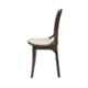 Supreme Pearl Cane Premium Plastic Teakwood Matt Finish Chair without Arm (Pack of 2)
