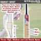 Strauss 86x12x5cm Short Handle English Willow Wooden Cricket Bat, ST-1554