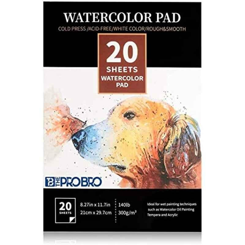 The Pro Bro 20 Sheets 21x29.7cm A4 Watercolor Paper Set for Drawing, Painting & Sketching