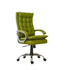 Newturn Boxer Premium Synthetic Leather Green High Back Ergonomic Chair