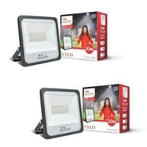 Murphy Xylo 30W 6500K Aluminium Cool White LED Flood Light for Outdoor (Pack of 2)
