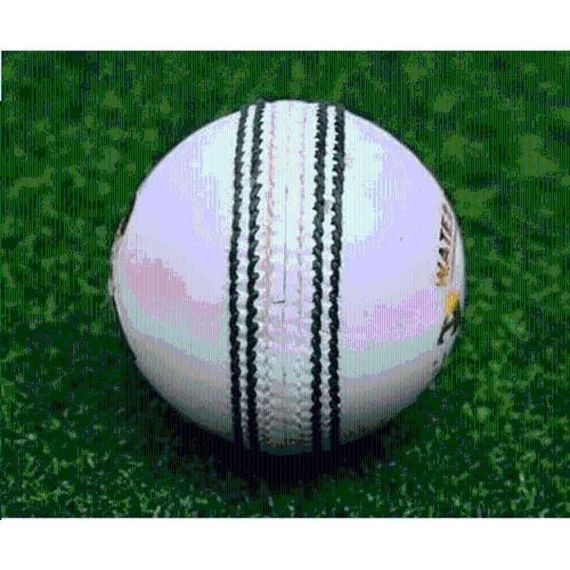 HTM Premium White Leather Cricket Ball for T-20