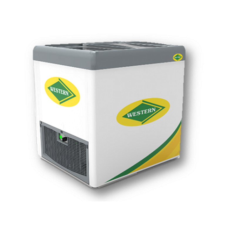 西龍白甕 Buy Western 227L Double Door Deep Freezer, F250GT25 AAINGMXWHX