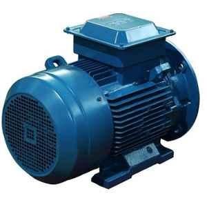 ABB IE2 3 Phase 18.5kW 25HP 415V 2 Pole Foot Cum Flange Mounted Cast Iron Induction Motor, M2BAX160MLC2