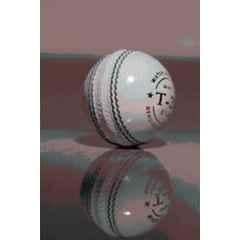 Cricket Kingdom 2 Pcs White T-20 Cricket Leather Ball Set