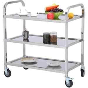 Diya 24x18x32 inch SS Instrument Trolley