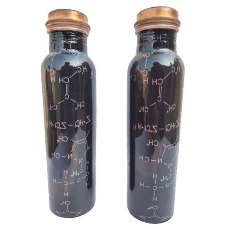 Healthchoice 1000ml Copper Yuva Chemistry Design Printed Water Bottle (Pack of 2)