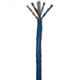 Belden 4 Pair 23AWG U/UTP LSZH Twisted Unshielded CAT6 Ethernet Cable, Length: 100 m