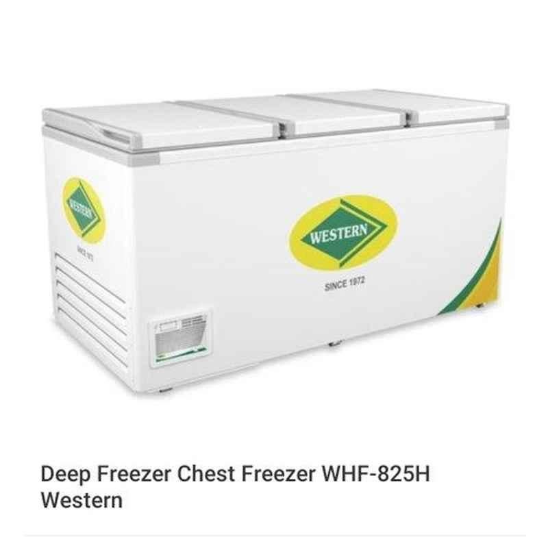 800 Ltr Western Chest Freezer Whf825h, Top Open Door, -17 Degreec To -22 Degreec
