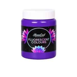 WinnerOne HomeCoat 500ml Jamuni Violet Fluorescent Colour, FC215 (Pack of 2)