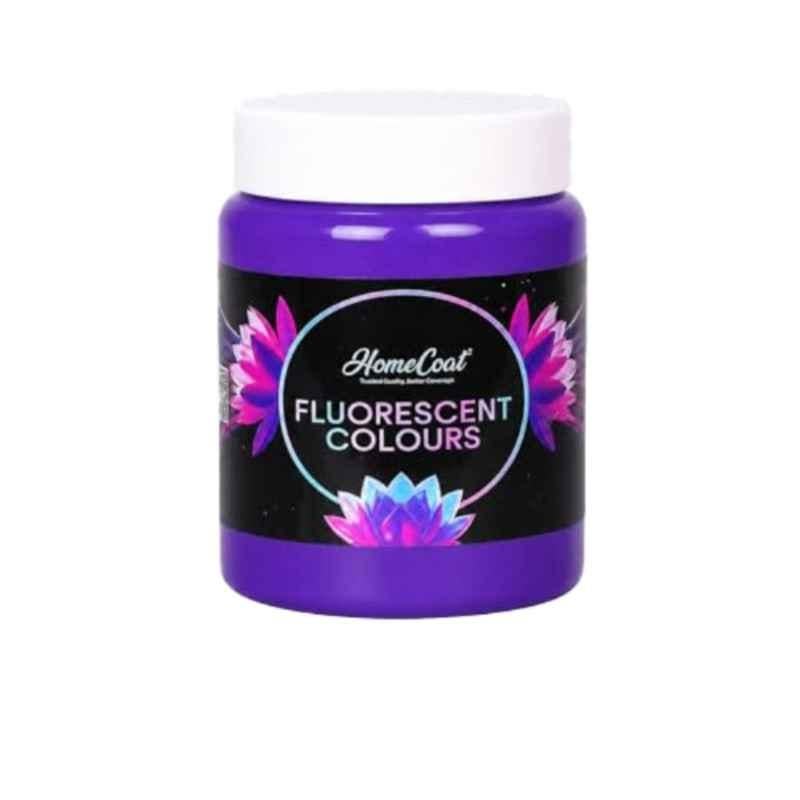 WinnerOne HomeCoat 500ml Jamuni Violet Fluorescent Colour, FC215 (Pack of 2)