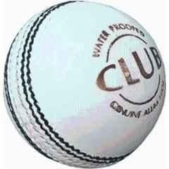 Hretails Club White Leather Cricket Ball (Pack of 2 )